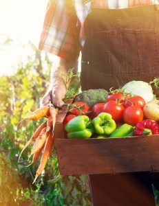 Farmer with freshly grown vegetables