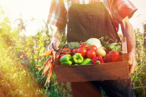 Farmer with freshly grown vegetables