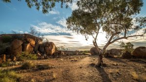 Australian outback