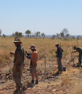 men planting trees