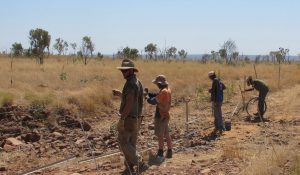 men planting trees